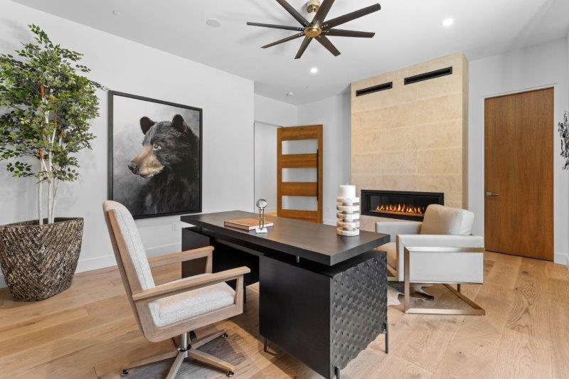 Description of the image